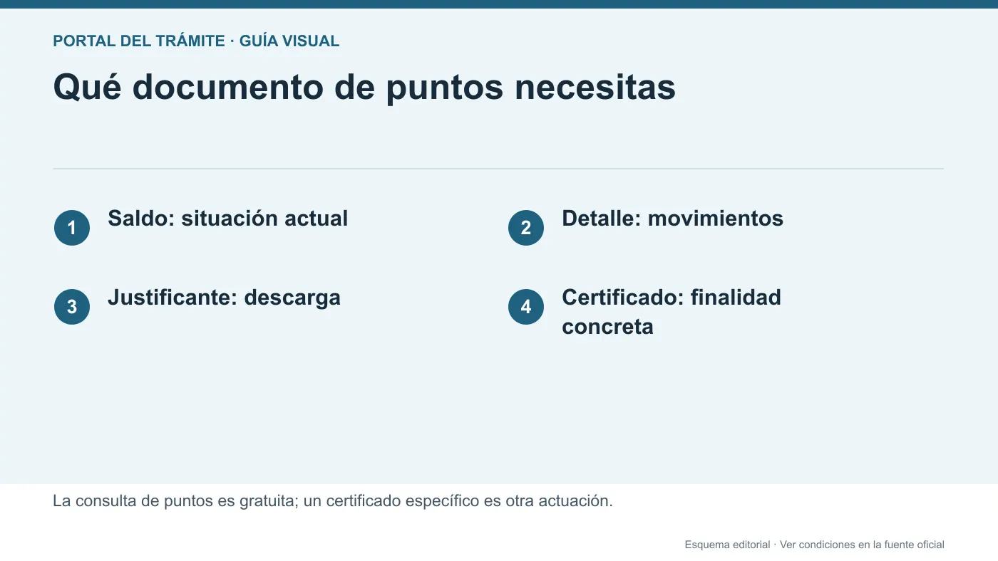 Comparación editorial de saldo, movimientos de puntos, justificante y certificado específico de conductor