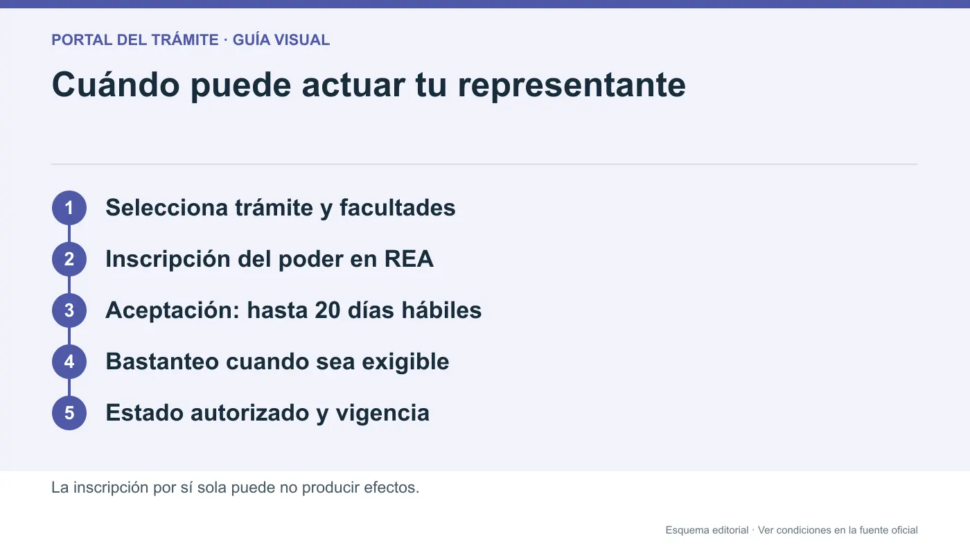 Infografía editorial de inscripción, aceptación y control del apoderamiento REA